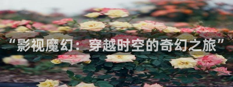 星空播剧