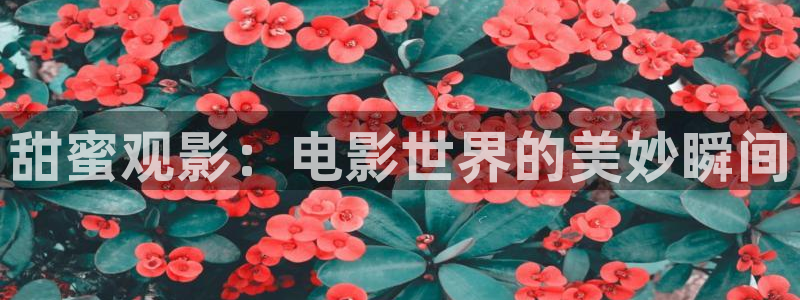 星辰星空影院免费观看电视剧电影：甜蜜观影：电影世界的美妙瞬间