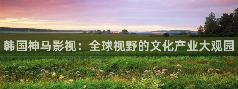 星空无限影视传媒官网：韩国神马影视：全球视野的文化产业大观园