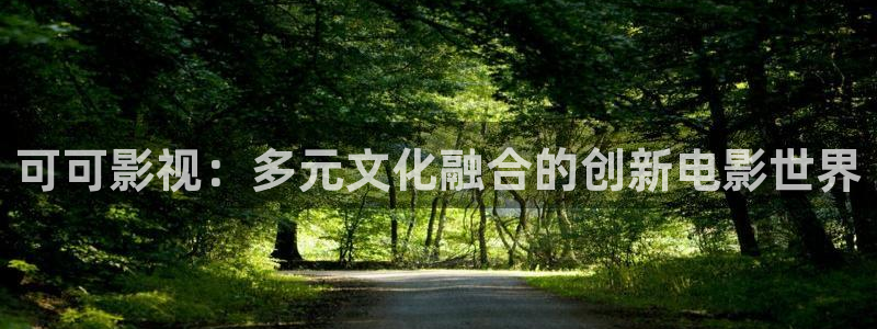 星空影院伦理：可可影视：多元文化融合的创新电影世界