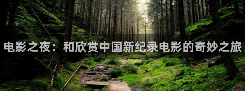 星空影视在线免费播放：电影之夜：和欣赏中国新纪录电影的奇妙之旅