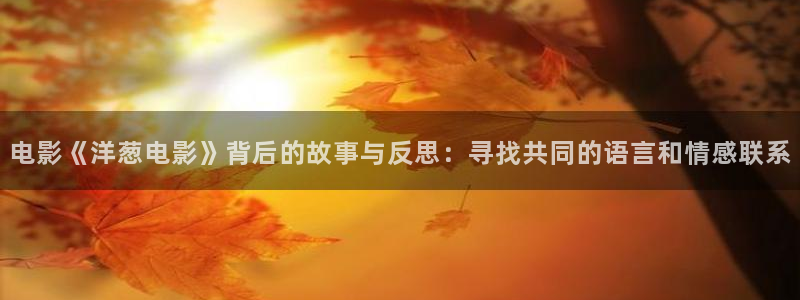 星空影院在线观看高清：电影《洋葱电影》背后的故事与反思：寻找共同的语言和情感联系