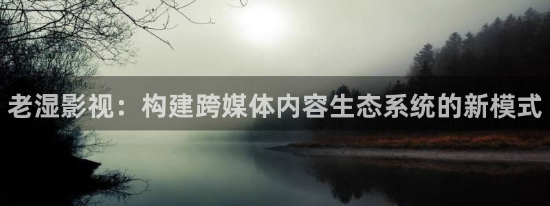 星空影院电视剧免费观看在线观看：老湿影视：构建跨媒体内容生态系统的新模式