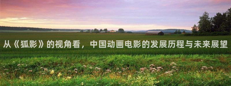 星空家庭影院：从《狐影》的视角看，中国动画电影的发展历程与未来展望