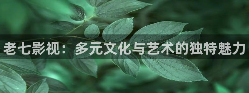 星空影视网下载app：老七影视：多元文化与艺术的独特魅力