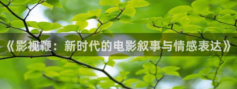 星空影院高清：《影视鞭：新时代的电影叙事与情感表达》