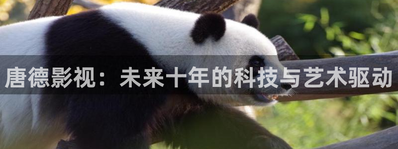 星空无限传媒高清电视剧在线观看：唐德影视：未来十年的科技与艺术驱动