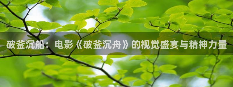 星空影院在线观看免费全集：破釜沉船：电影《破釜沉舟》的视觉盛宴与精神力量