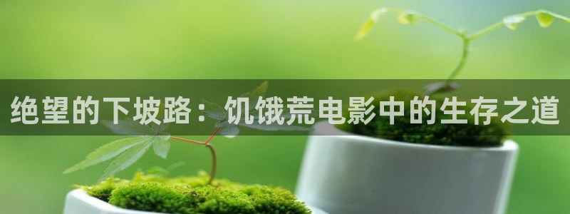 点燃我温暖你电视剧免费观看星空影院：绝望的下坡路：饥饿荒电影中的生存之道