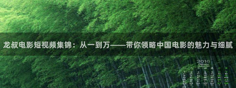 新生星空影视：龙叔电影短视频集锦：从一到万——带你领略中国电影的魅力与细腻