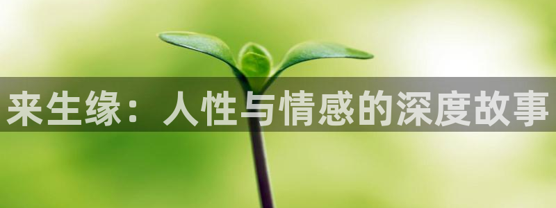 激情视频星空影院：来生缘：人性与情感的深度故事