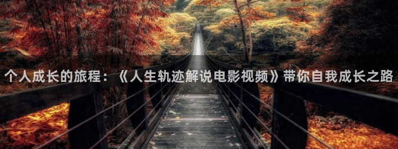 星空影院正青春：个人成长的旅程：《人生轨迹解说电影视频》带你自我成长之路