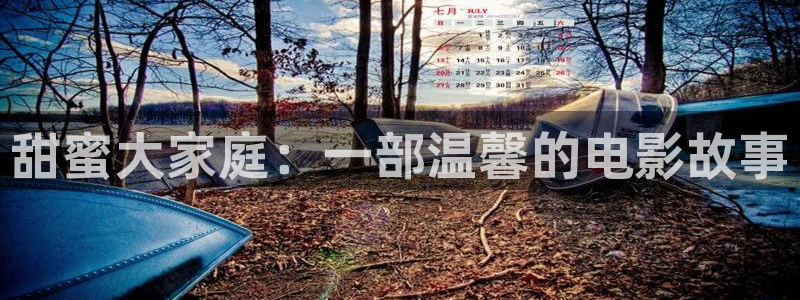 星空影院旧版本入口：甜蜜大家庭：一部温馨的电影故事