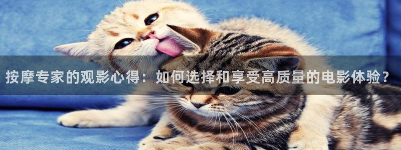 星空传媒高清视频：按摩专家的观影心得：如何选择和享受高质量的电影体验？