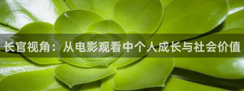 星空影院在线观看免费播放电视剧：长官视角：从电影观看中个人成长与社会价值