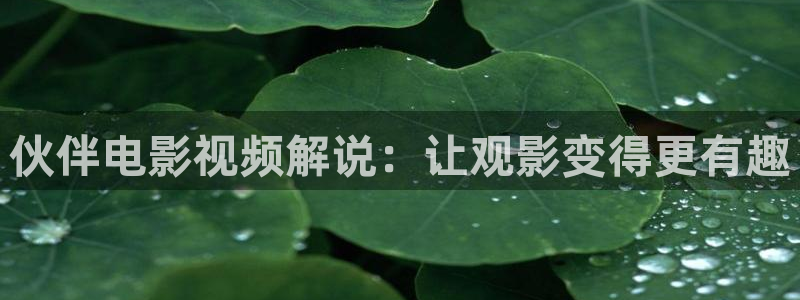 电影星空下载：伙伴电影视频解说：让观影变得更有趣