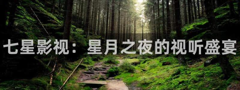 星空照
